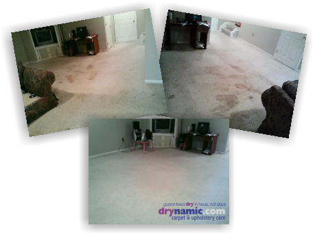 Drynamic Carpet & Upholstery Care | 9663 Norfolk Ave, Laurel, MD 20723, USA | Phone: (301) 725-7747