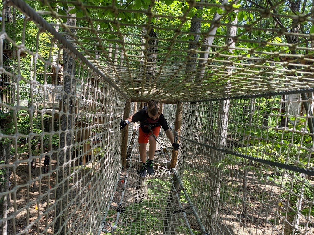 Go Ape Zipline and Adventure Park | 7550 Reservation Dr, Springfield, VA 22153, USA | Phone: (800) 971-8271