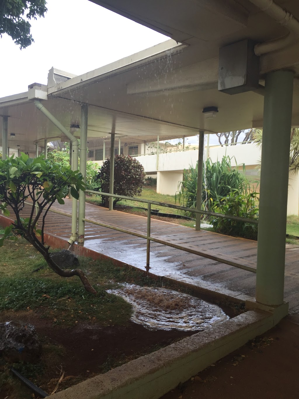 Koko Head Elementary School | 189 Lunalilo Home Rd, Honolulu, HI 96825, USA | Phone: (808) 397-5811
