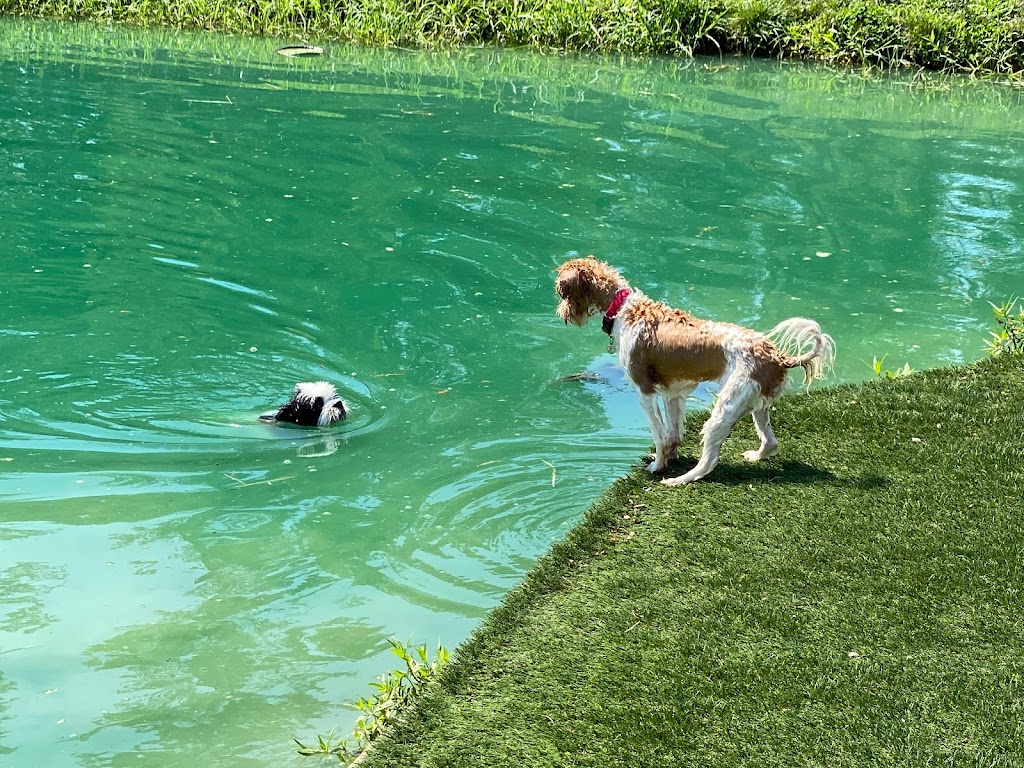 Happy Hounds Playground - Membership Dog Park | 2448 Pond Rd, Grover, MO 63040, USA | Phone: (314) 456-8358