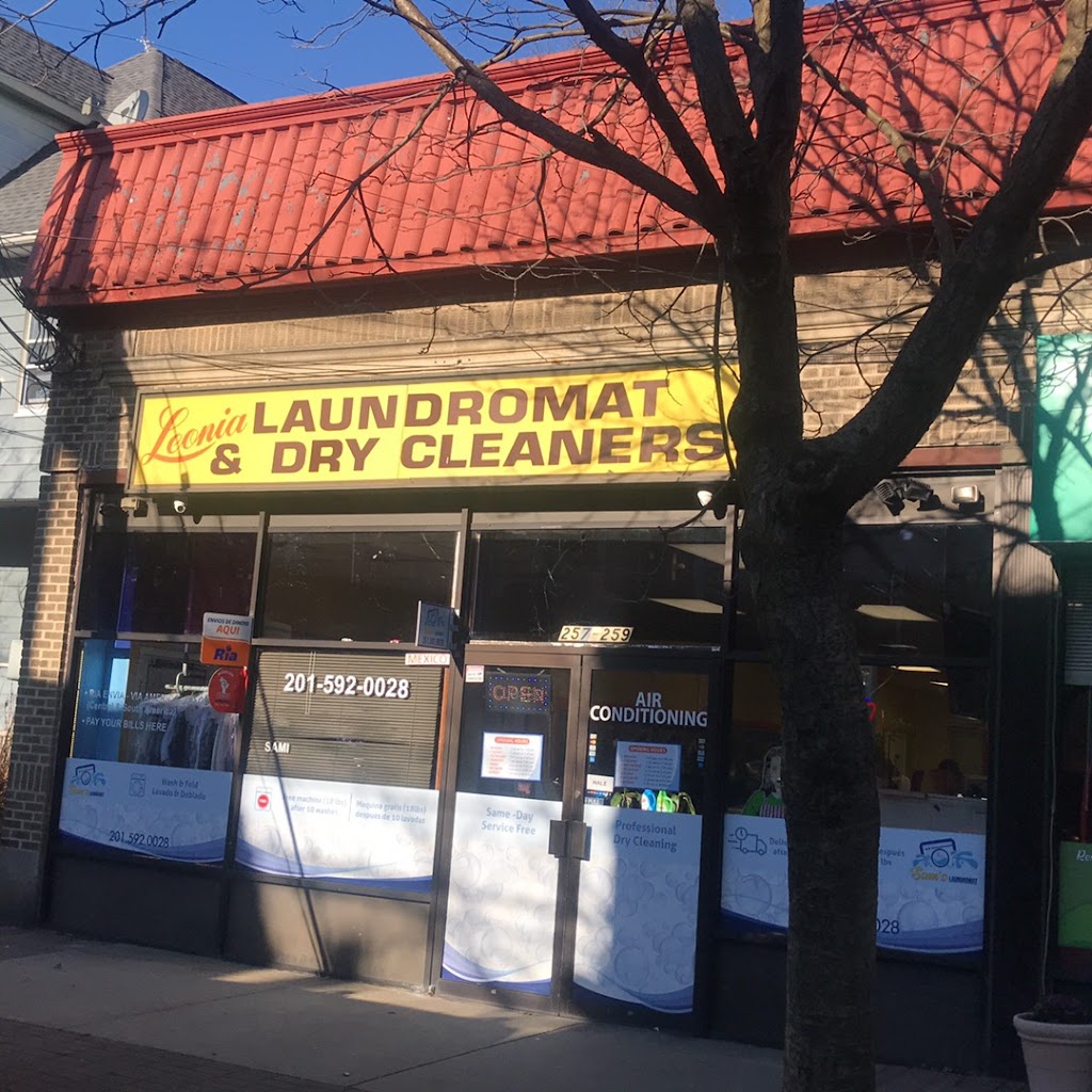 Wash And Go Laundromat | 257 Hillside Ave, Leonia, NJ 07605, USA | Phone: (201) 592-0028