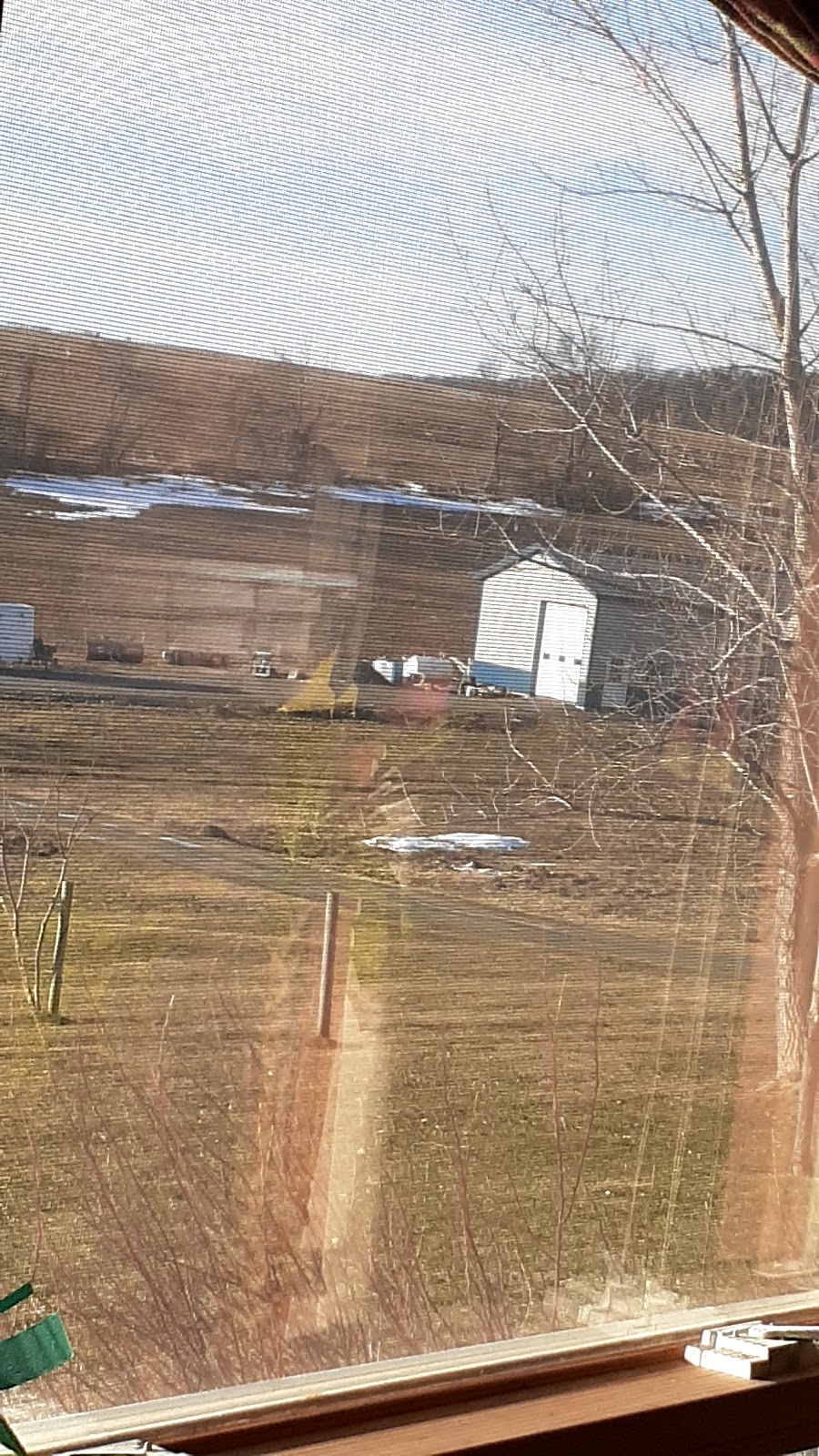 Insane Oil - Independent Amsoil Dealer | 306 Laredo Rd, Papillion, NE 68046, USA | Phone: (402) 990-7940