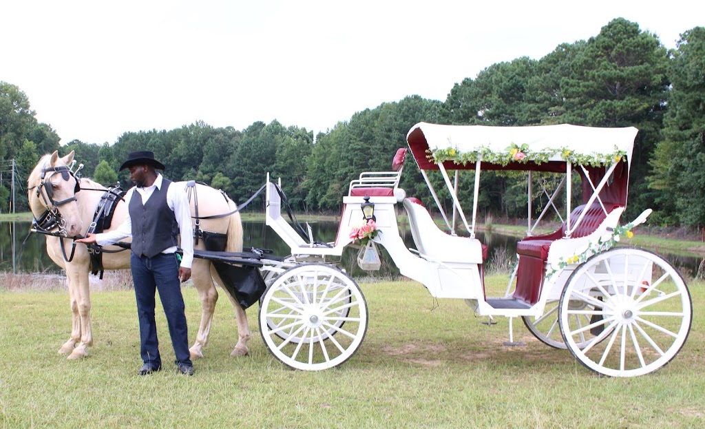 Mos Carriages and Trail Rides | 302 Co Rd 383, Billingsley, AL 36006, USA | Phone: (205) 492-4667