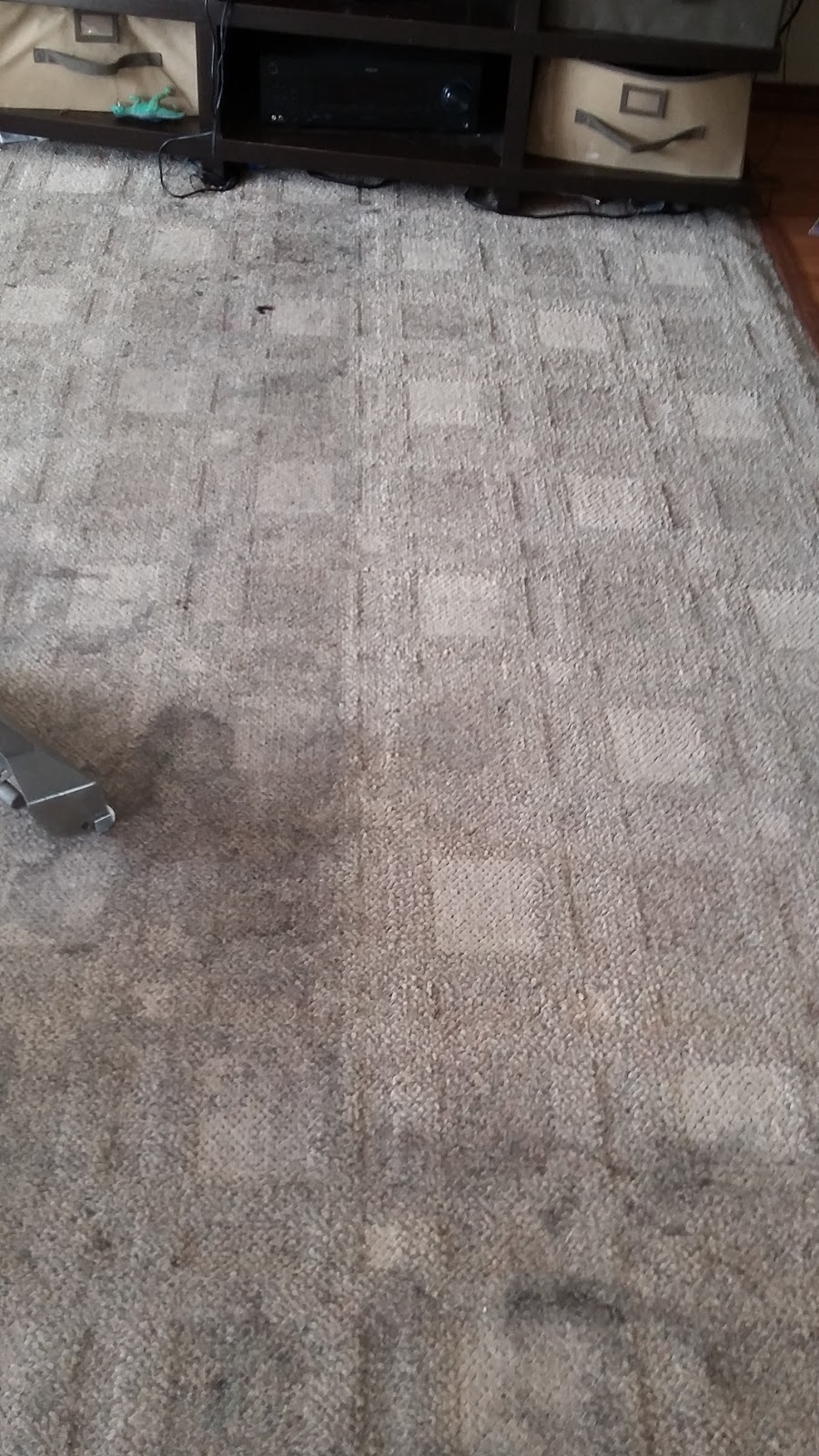 L&L Carpet Care | NE 152nd St, Vancouver, WA 98686, USA | Phone: (360) 644-2188