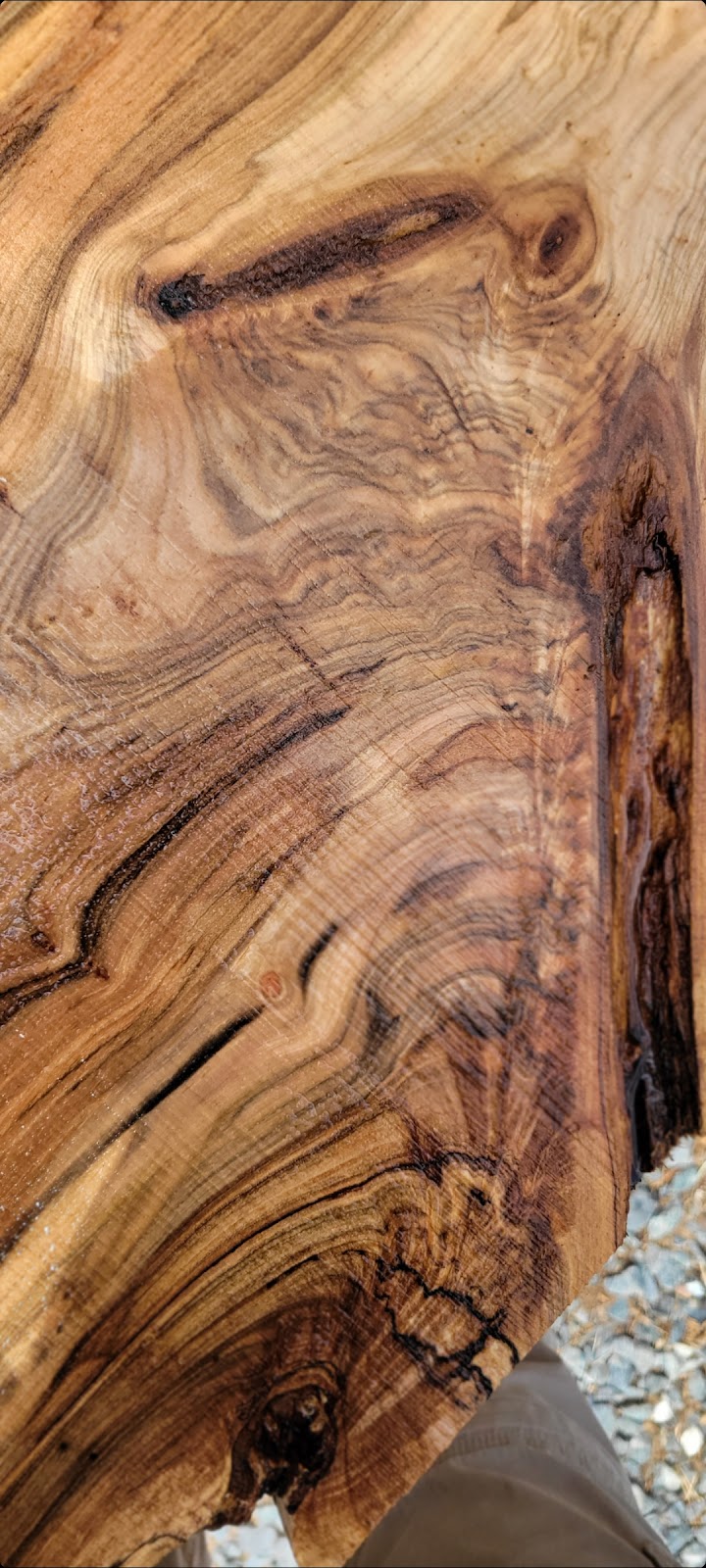 Tolbert Timber Company | 1368 Grassy Creek Rd, Pinnacle, NC 27043, USA | Phone: (336) 955-7468