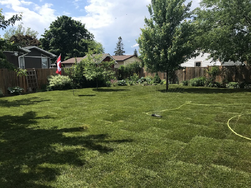 Team Green Lawn Care | 1403 Kottmeier Rd, Welland, ON L3B 5N5, Canada | Phone: (905) 321-4648