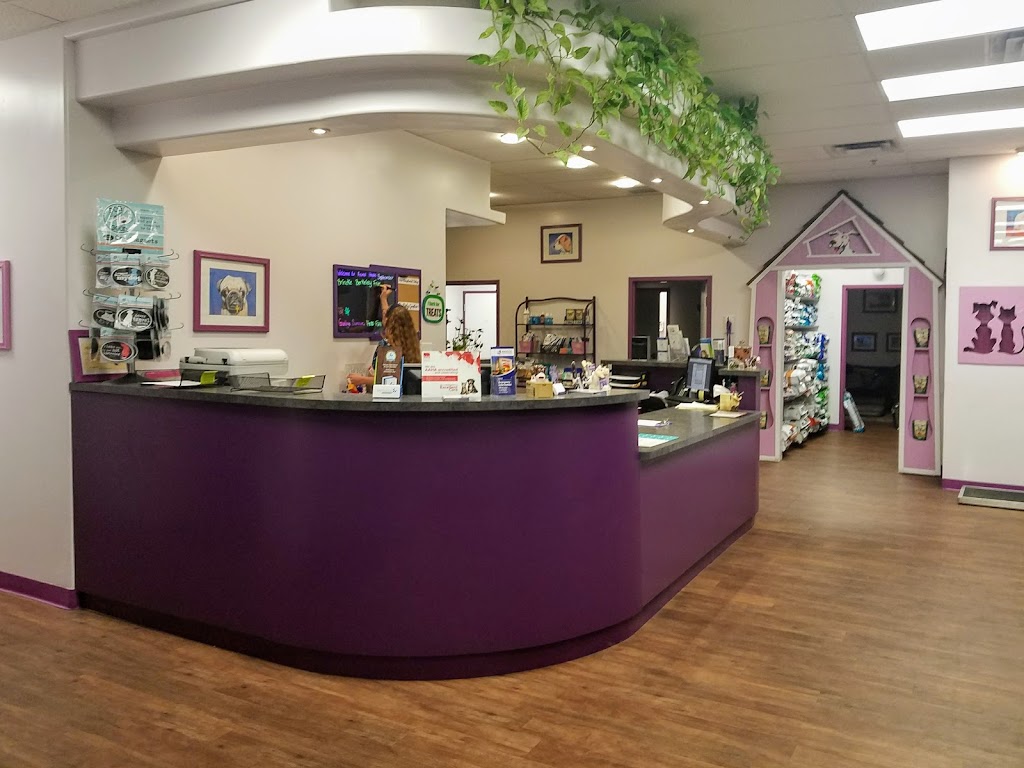 Animal House Veterinary Clinic | 7507 S Power Rd #101, Queen Creek, AZ 85142, USA | Phone: (480) 655-5432