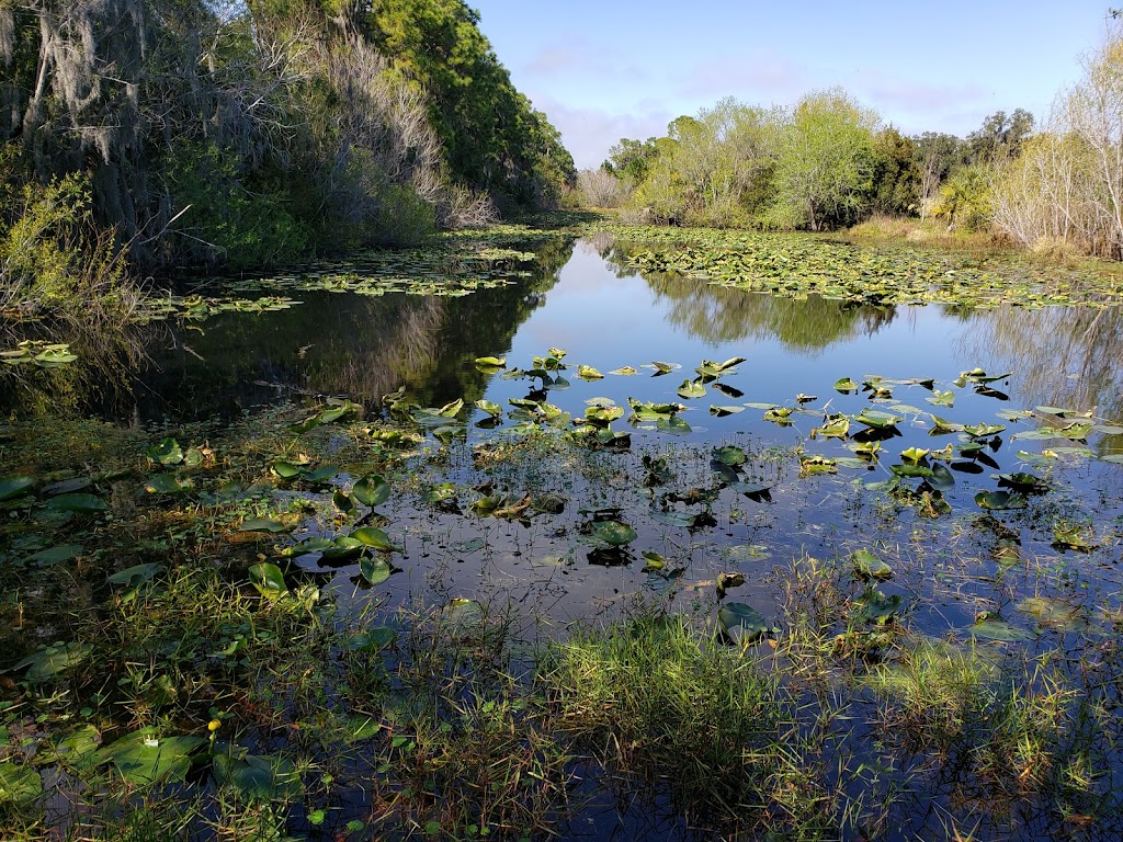 Felts Audubon Preserve | 4600 24th Ave E, Palmetto, FL 34221, USA | Phone: (941) 729-2222