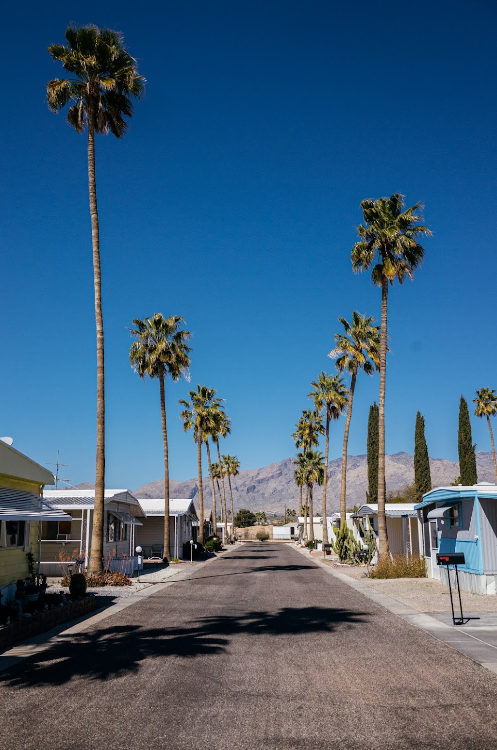 Paradise Village Mobile Estate | 4001 E Blacklidge Dr APT 39, Tucson, AZ 85712, USA | Phone: (520) 795-9820