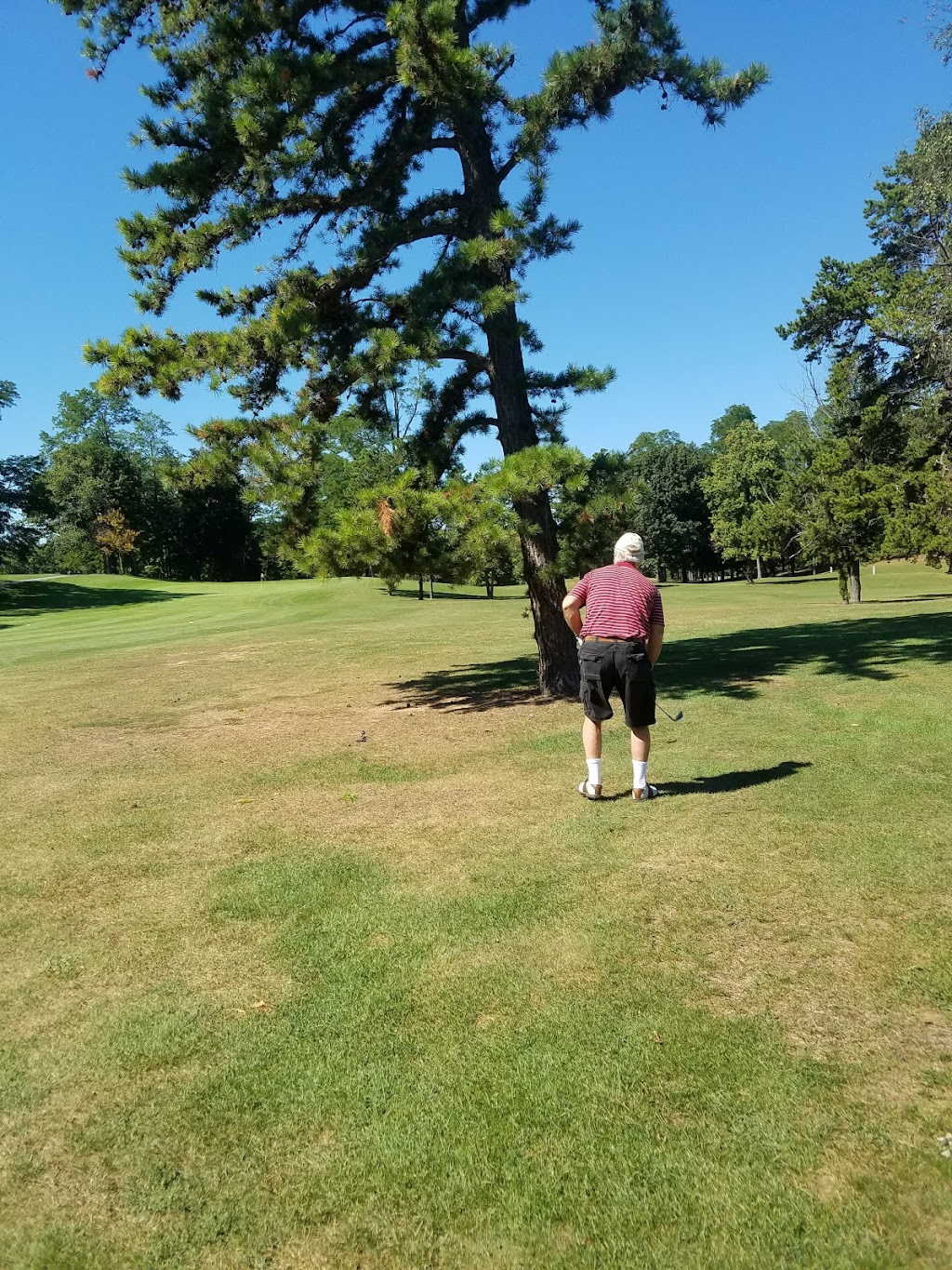 Stadium Golf Club | 333 Jackson Ave, Schenectady, NY 12304, USA | Phone: (518) 374-9104