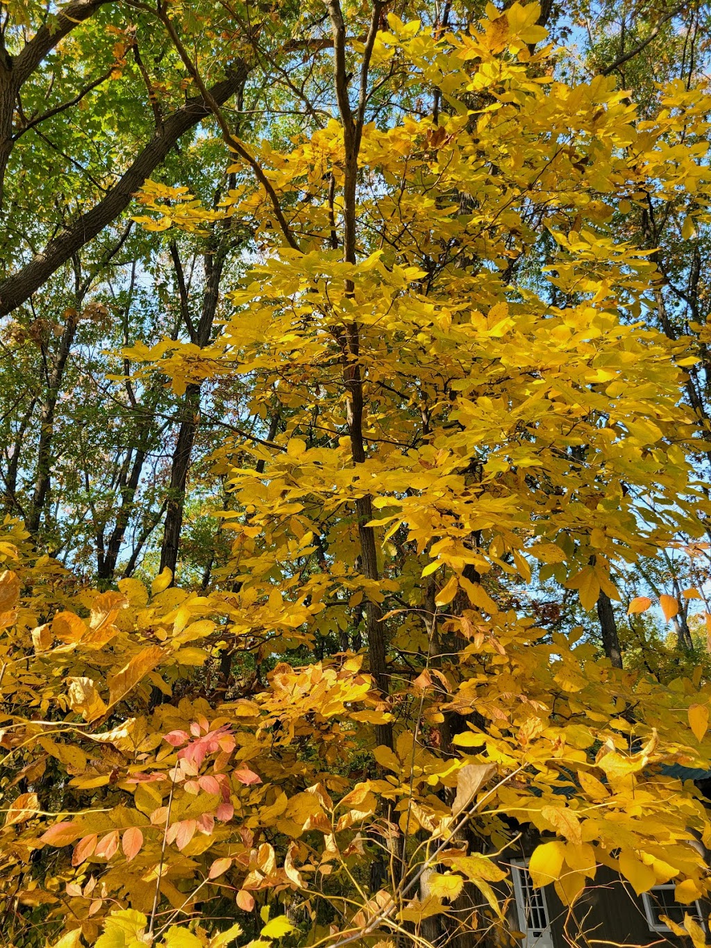 Boundless Adventures - Kenosha Zipline & Aerial Park | 9800 County Hwy M B, Bristol, WI 53104, USA | Phone: (262) 287-0933