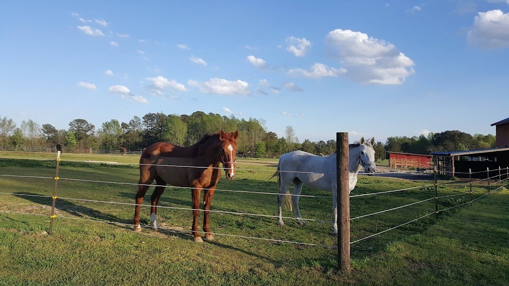 Countyline Equestrian Center | 2616 NC-98, Louisburg, NC 27549, USA | Phone: (919) 271-0417