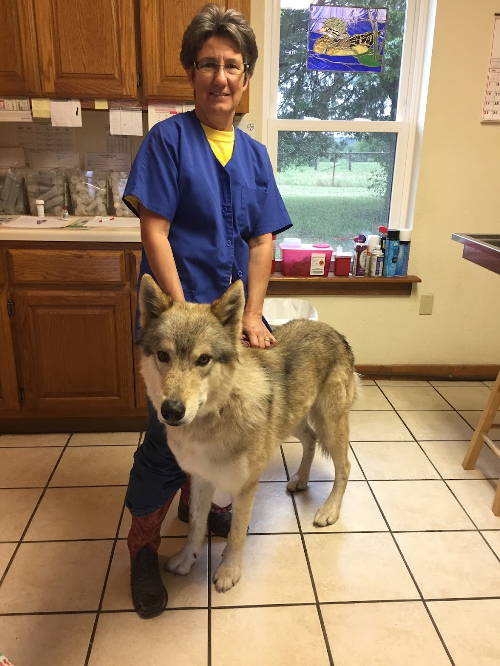 Johnston Veterinary Clinic | 163 Co Rd 2602, Pawhuska, OK 74056, USA | Phone: (918) 287-9990