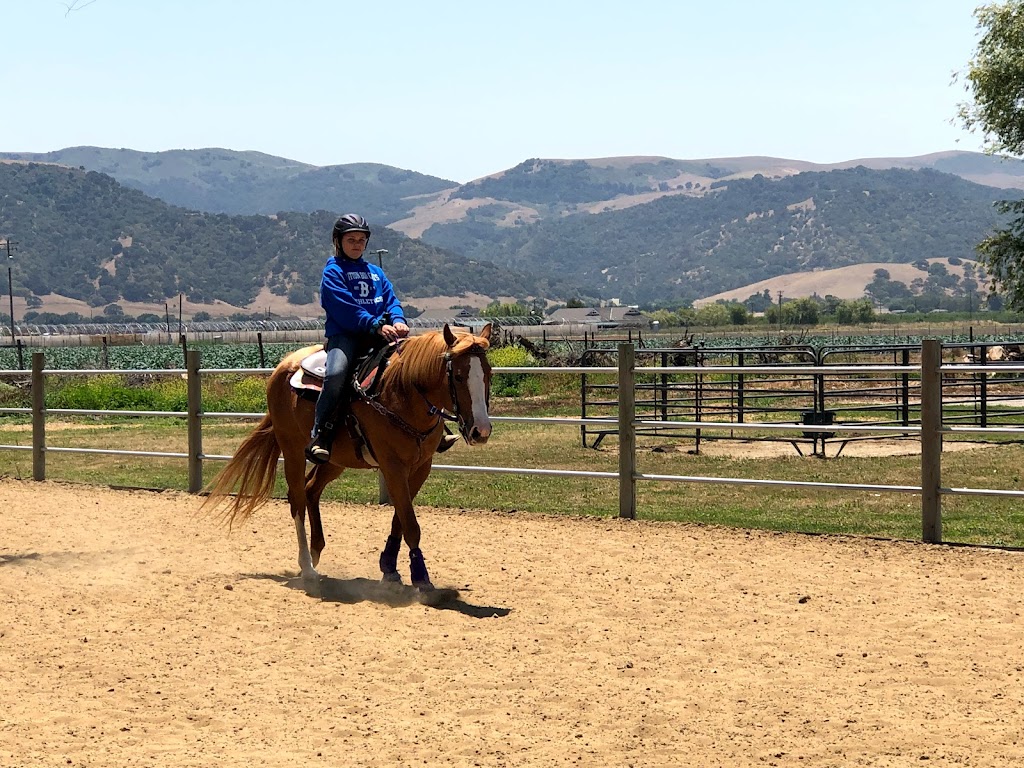 SL Barrel Horses | 3605 Dryden Ave, Gilroy, CA 95020, USA | Phone: (408) 607-9491