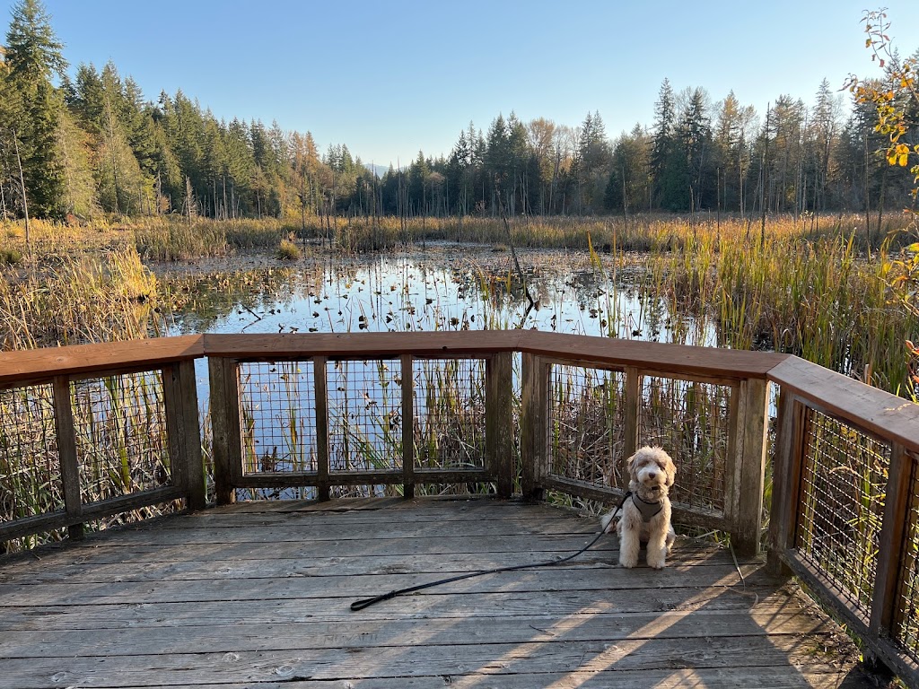 Hazel Wolf Wetlands | 24733-24739 248th Ave SE, Sammamish, WA 98075, USA | Phone: (206) 292-5907