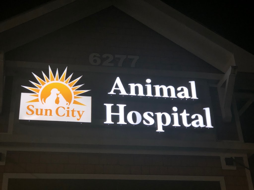 Sun City Animal Hospital Indanland Fortmill Vet | 6277 Carolina Commons Dr Suite 400, Fort Mill, SC 29707, USA | Phone: (803) 228-4020