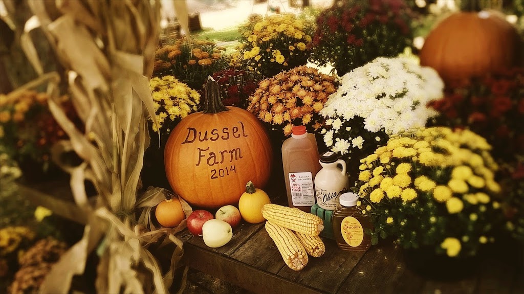 Dussel Farm | 1109 Old Forge Rd, Kent, OH 44240, USA | Phone: (330) 673-5957