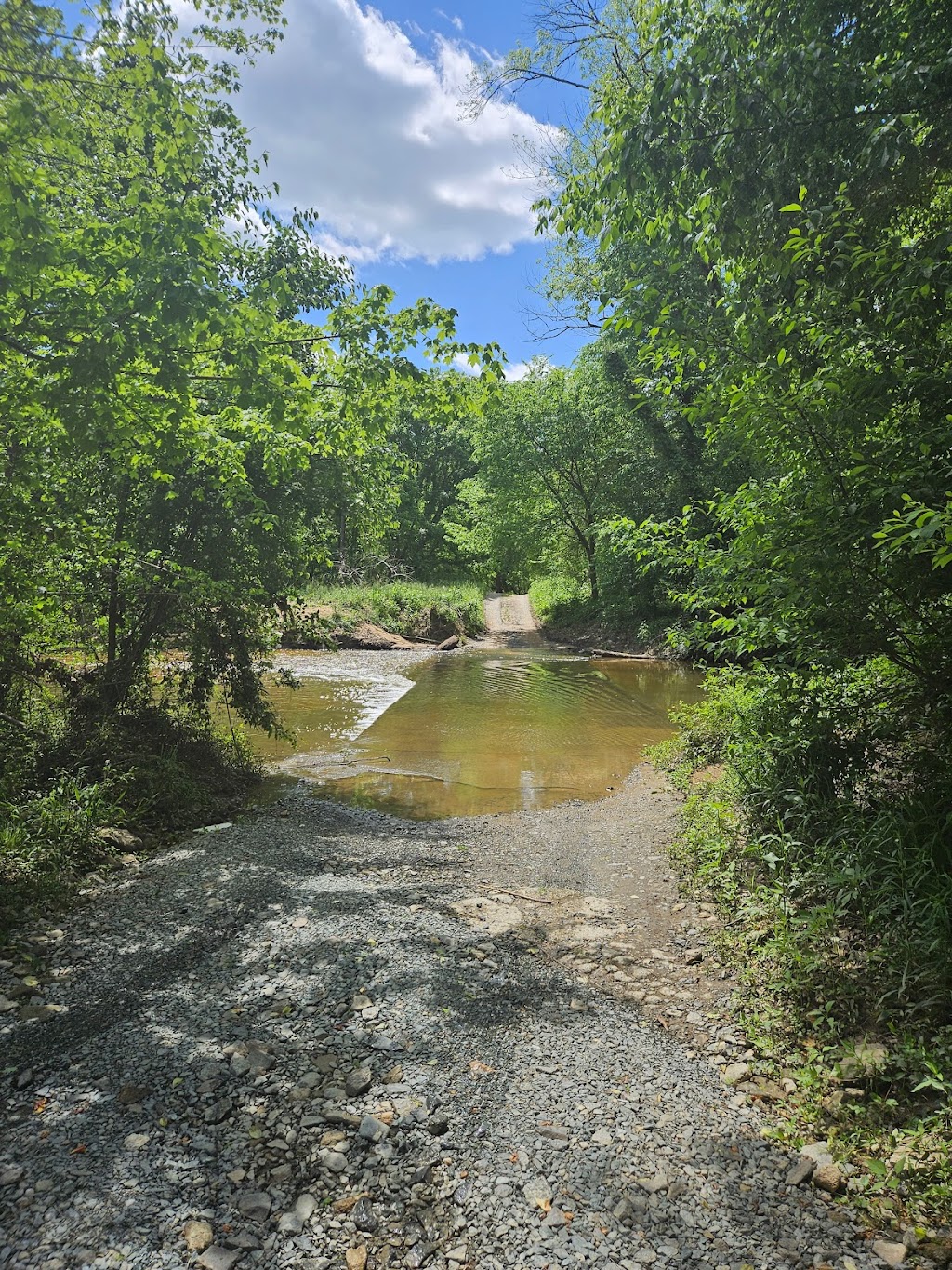 Mason Farm Biological Reserve Trailhead | Chapel Hill, NC 27517, USA | Phone: (919) 962-0522