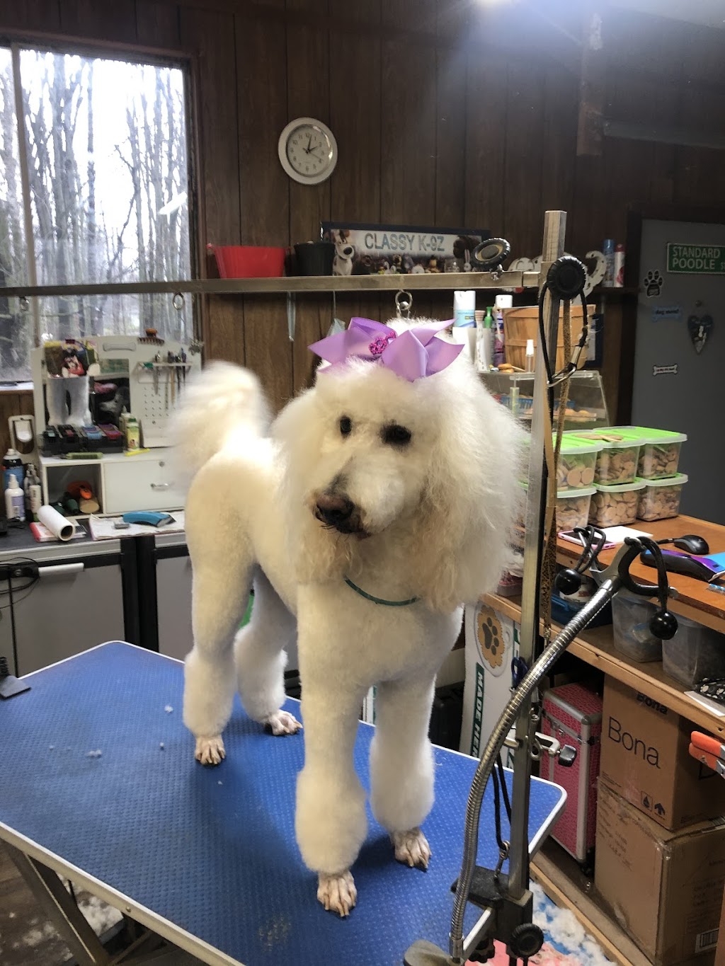 Dunkin Doggies Pet Grooming & Bakery | 3134 N Ridge Rd, Elyria, OH 44035, USA | Phone: (440) 277-9872