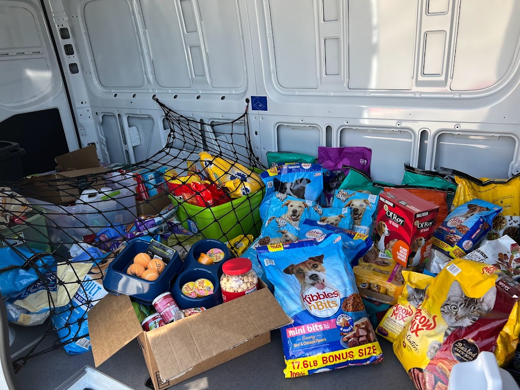 7 to 7 Dental & Orthodontics | 20122 Stone Oak Pkwy Ste 101, San Antonio, TX 78258, USA | Phone: (210) 495-2000