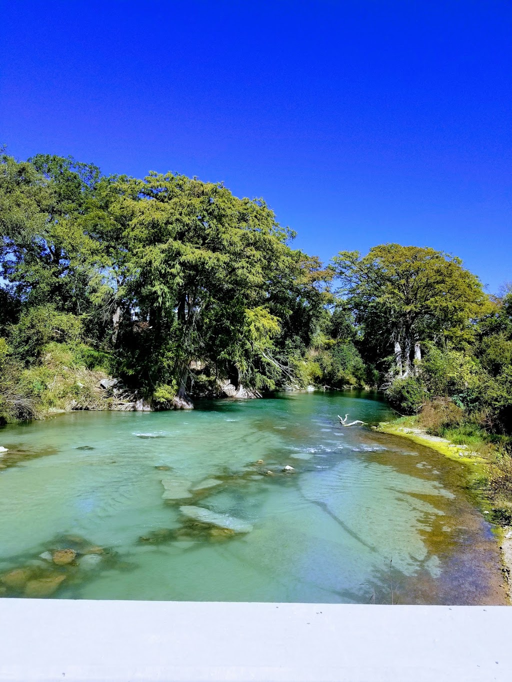 Blind Salamander RV Park | 2025 N Old Bastrop Hwy, San Marcos, TX 78666, USA | Phone: (512) 392-1512