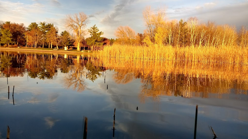 Coon Lake County Park | 5450 197th Ave NE, Columbus, MN 55025, USA | Phone: (763) 757-3920