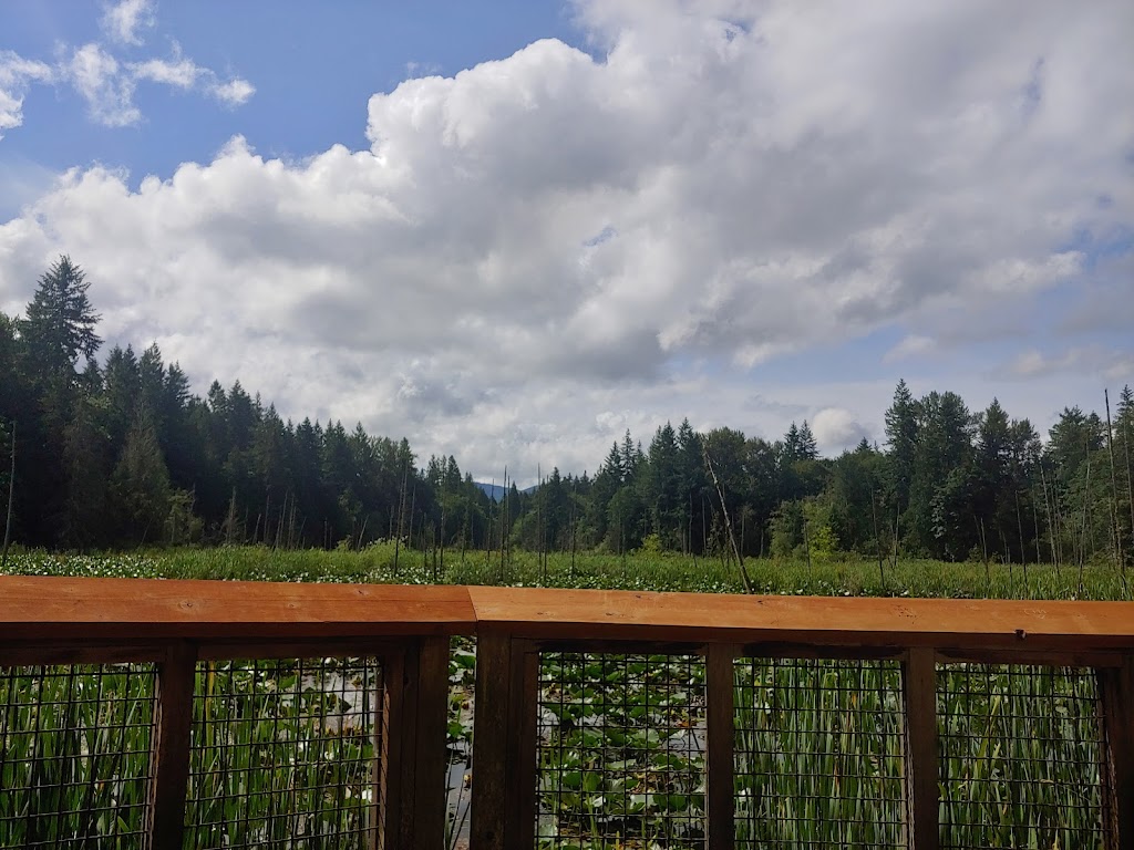 Hazel Wolf Wetlands | 24733-24739 248th Ave SE, Sammamish, WA 98075, USA | Phone: (206) 292-5907