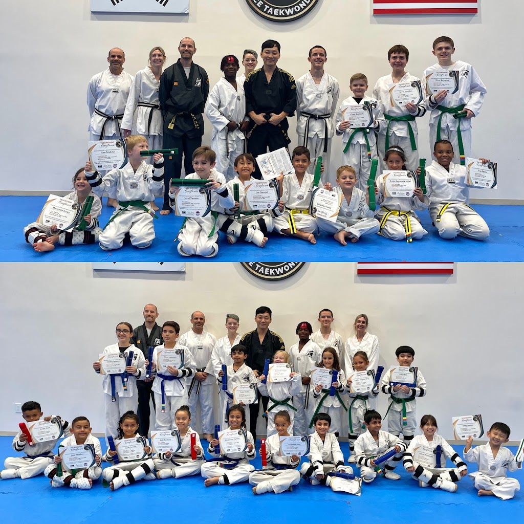 Master Seongs Ace Taekwondo | 3707 College Park Dr #700, The Woodlands, TX 77384, USA | Phone: (936) 703-0101