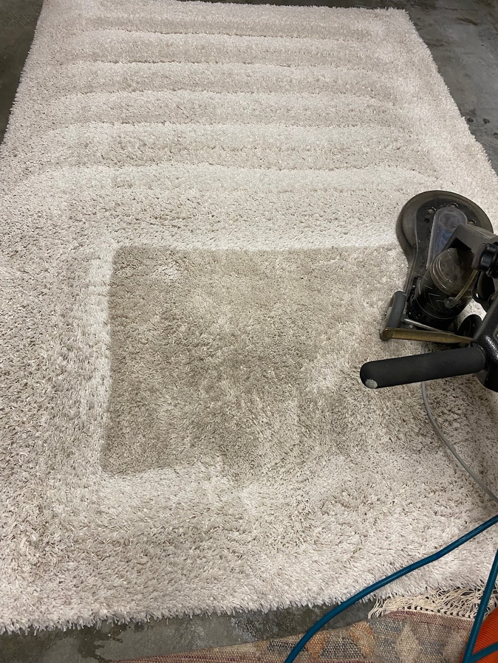 Revive Carpet Cleaning | 8411 299th Pl SE, Issaquah, WA 98027, USA | Phone: (425) 222-6037