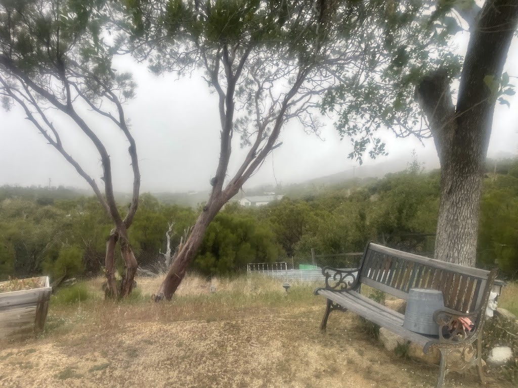 Your Anza Realtor @CGS Real Estate DRE01979115 | 39385 Pioneer Way, Anza, CA 92539, USA | Phone: (951) 348-5820