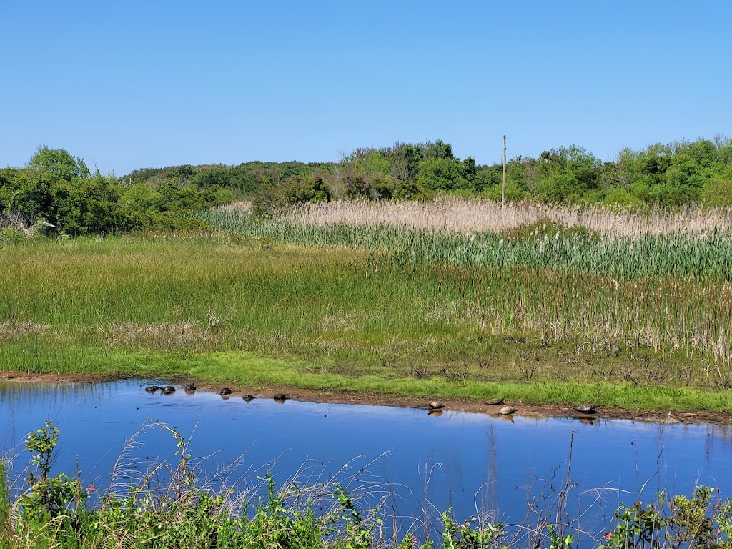 Back Bay National Wildlife Refuge Visitor Center | 4005 Sandpiper Rd, Virginia Beach, VA 23456, USA | Phone: (757) 301-7329