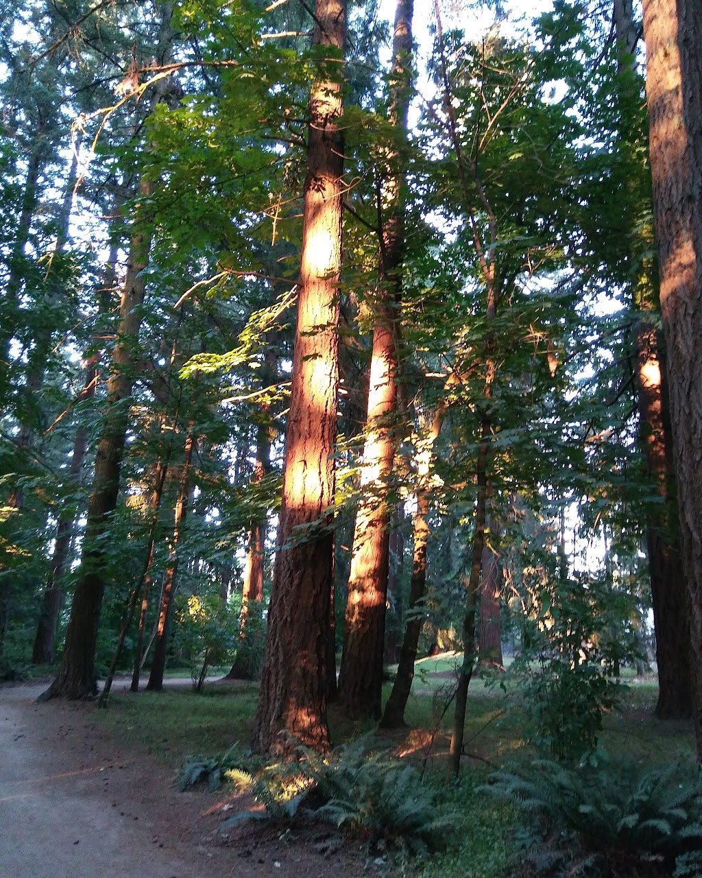 Orchards Highlands Neighborhood Park | 9310 NE 112th Ave, Vancouver, WA 98662, USA | Phone: (360) 397-2285