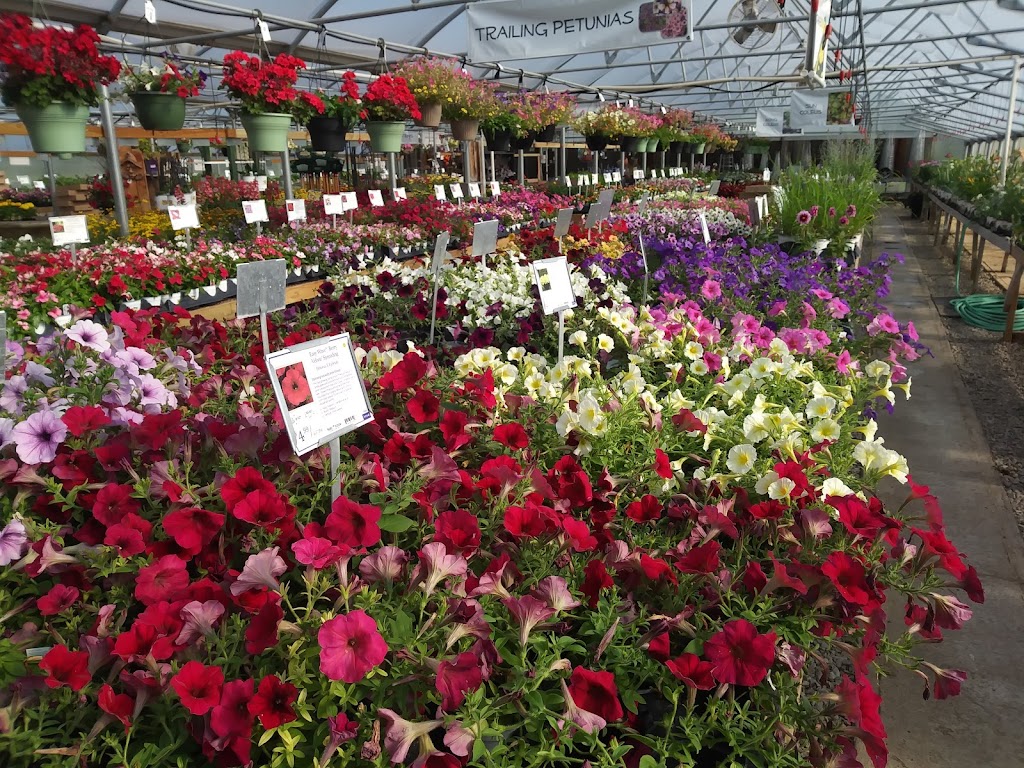 Prairie Blossom Nursery & Garden Center | 415 Metcalf Rd, El Dorado, KS 67042, USA | Phone: (316) 321-3331