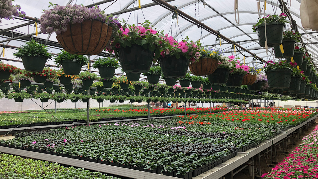 Sykes the Florist and Greenhouses | 1300 Lawrence St, Lowell, MA 01852, USA | Phone: (978) 454-4121