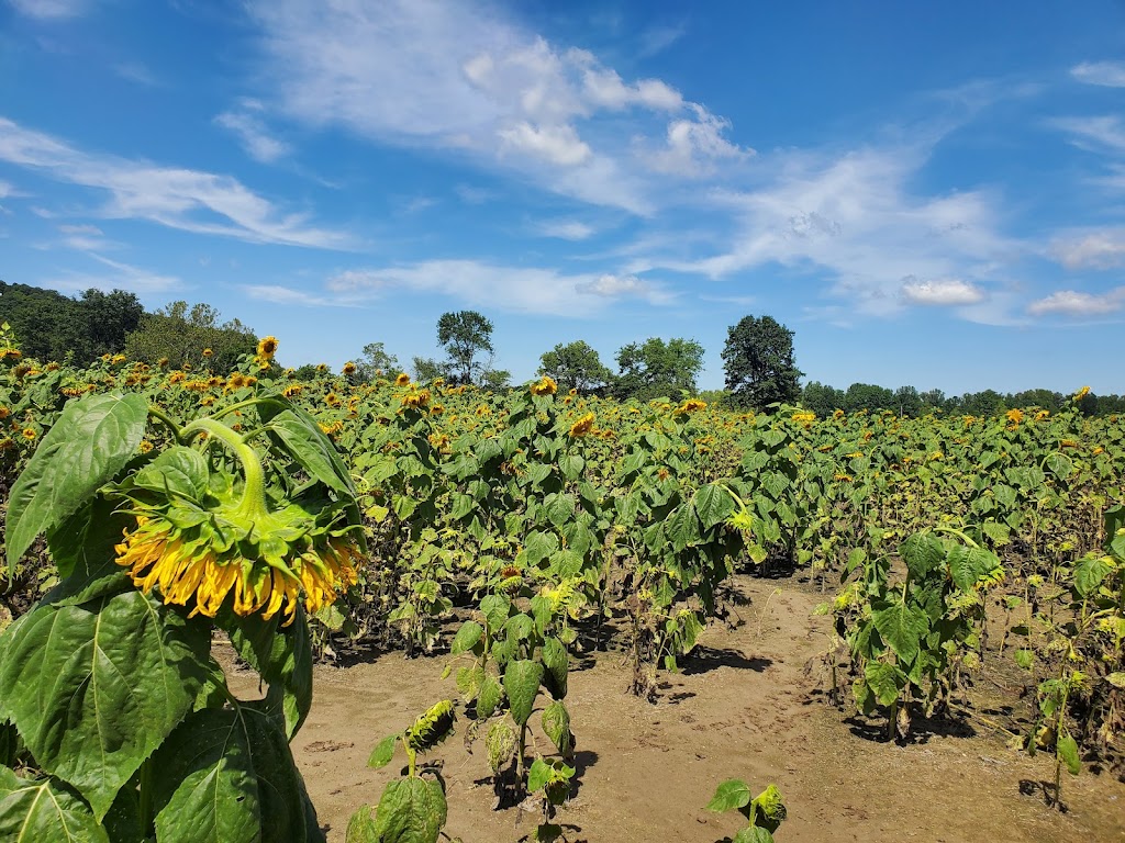 Brookdale Farms | 8004 Twin Rivers, Eureka, MO 63025, USA | Phone: (636) 938-1005