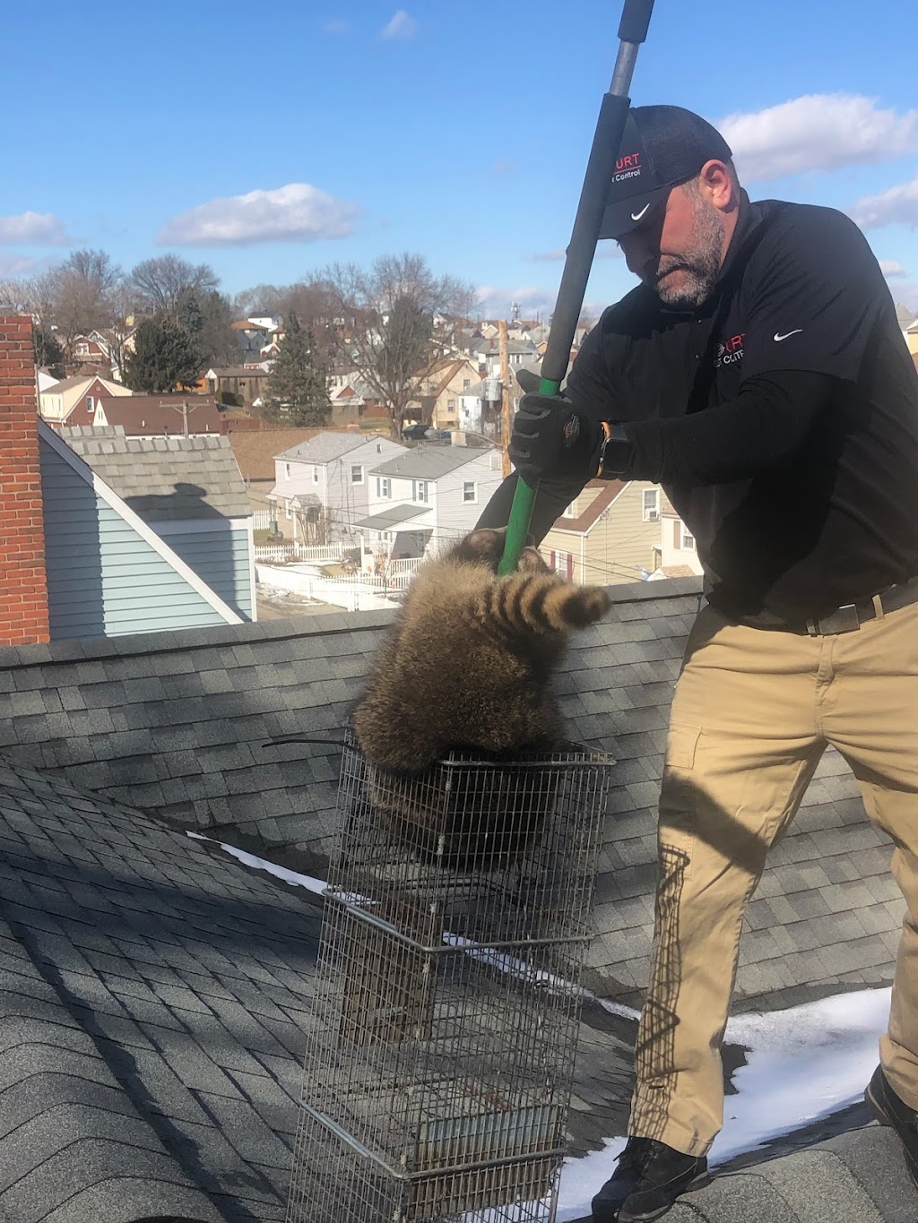 Court Pest Control LLC | 3131 5th Ave, North Versailles, PA 15137, USA | Phone: (412) 672-7378