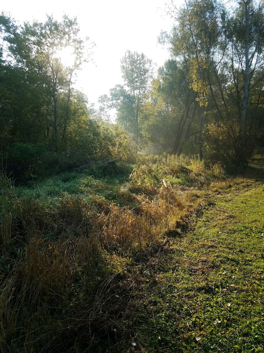 McCarthy Youth & Conservation County Park | 4841 Co Hwy TT, Cottage Grove, WI 53527, USA | Phone: (608) 224-3730