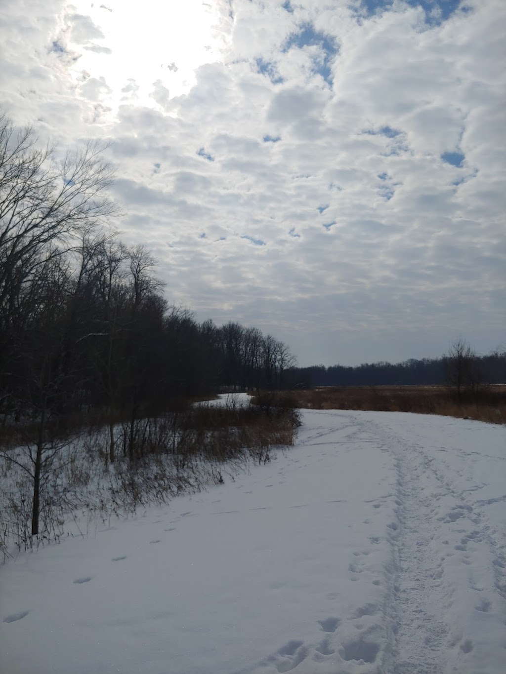 Chippewa Inlet Trail North | 5803 Lafayette Rd, Medina, OH 44256, USA | Phone: (330) 722-9364