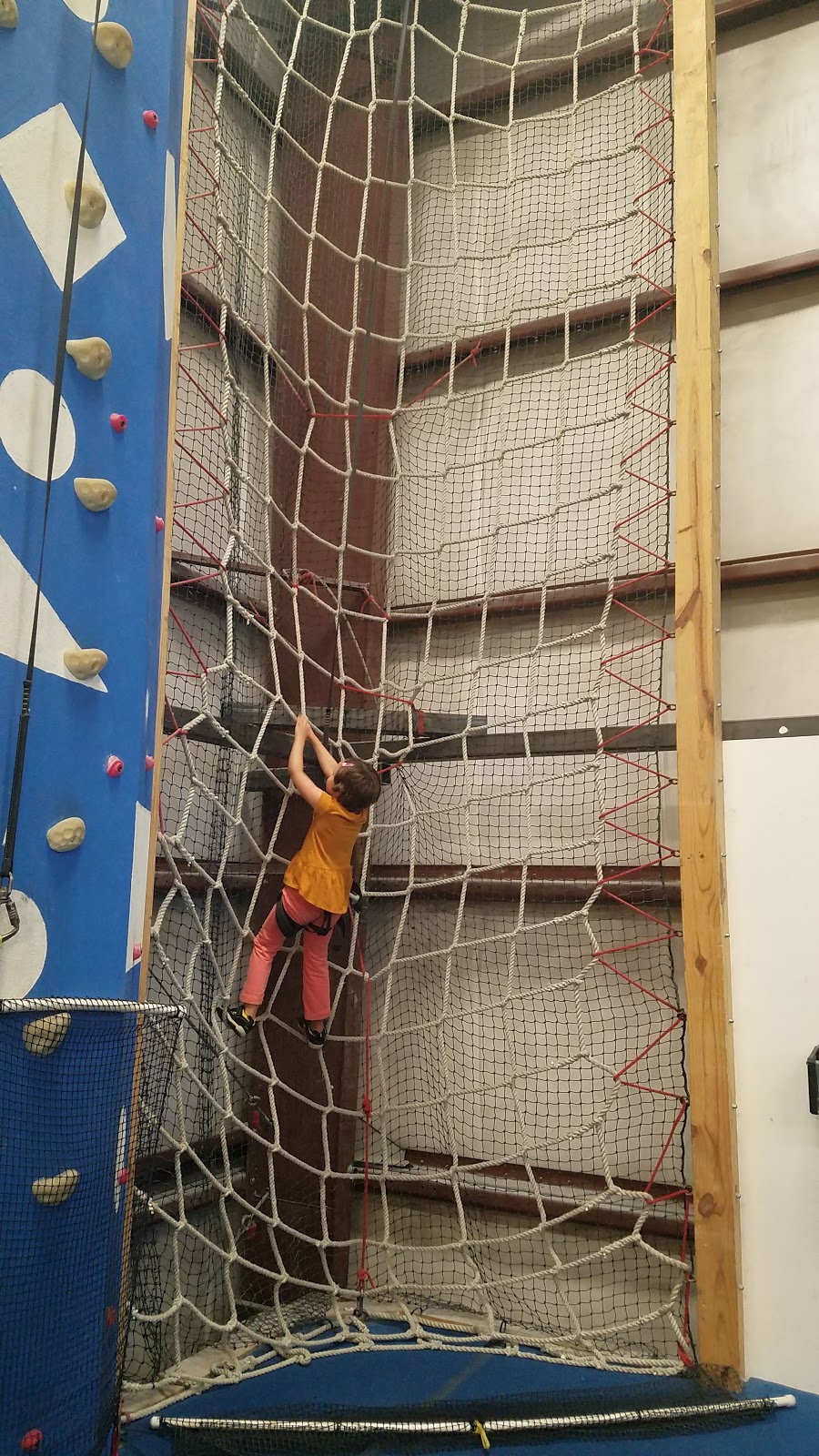 The Edge Rock Gym - Climbing and Fitness | 200 West Dr, Melbourne, FL 32904, USA | Phone: (321) 724-8775