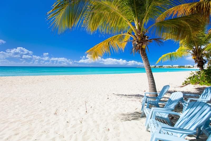 Cindys Travel Escapes LLC | 1121 W Price Blvd, North Port, FL 34288, USA | Phone: (508) 379-3320