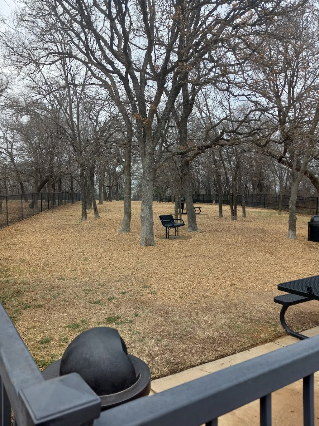 Boo Boos Buddies Dog Park | 3901 N White Chapel Blvd, Southlake, TX 76092, USA | Phone: (817) 748-8019