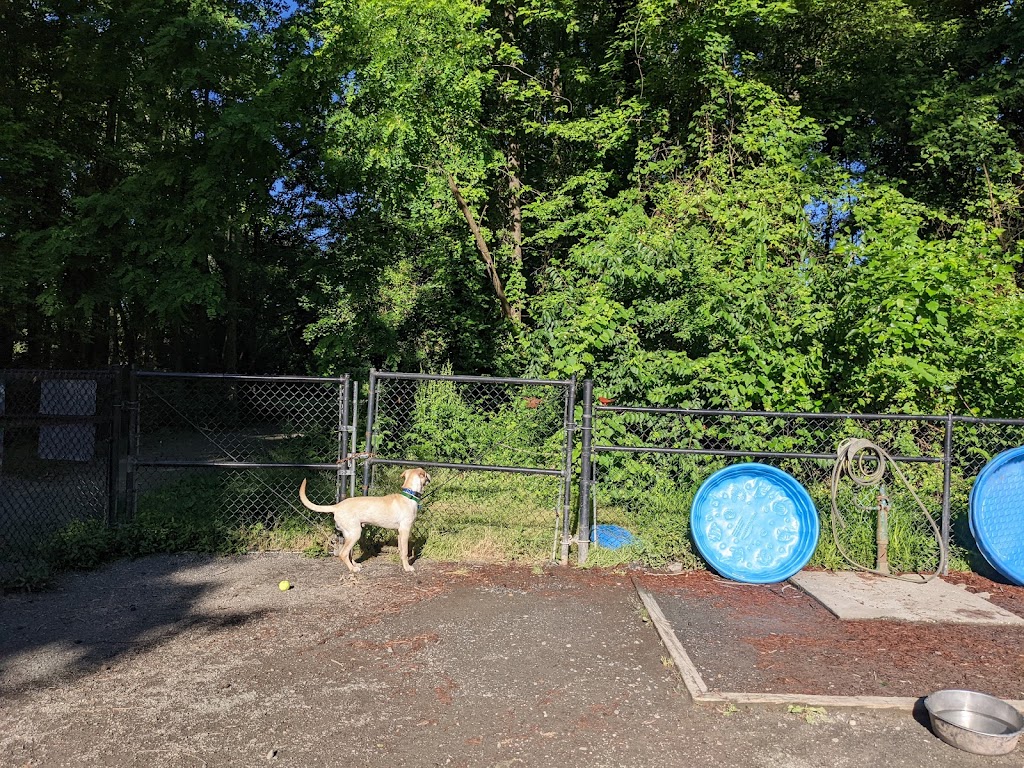 Grist Mill Dog Park | 4710 Mount Vernon Memorial Hwy, Alexandria, VA 22309, USA | Phone: (703) 324-7329