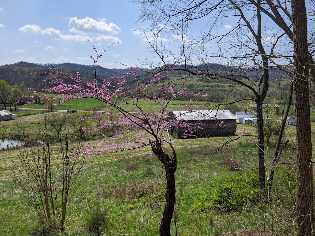 Til the Rooster Crows Ranch | 7030 Liberty Rd, Bradfordsville, KY 40009 | Phone: (516) 241-7960