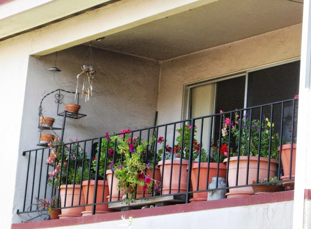 Albion Terrace Apartments | 225 Nova Albion Way, San Rafael, CA 94903, USA | Phone: (833) 538-9511
