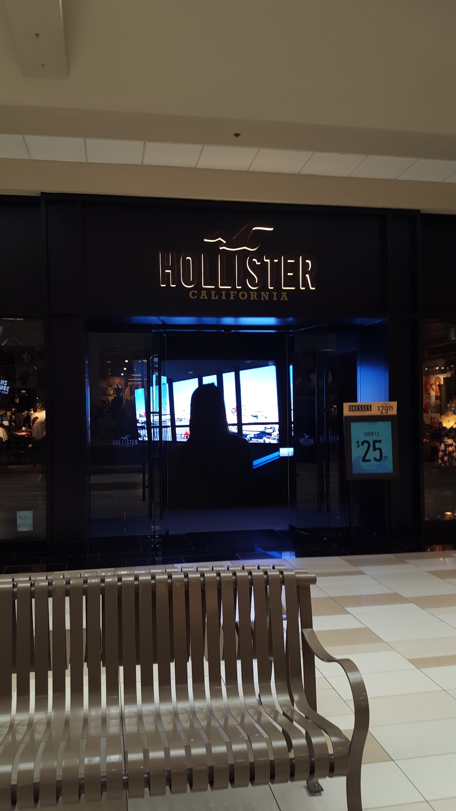 Hollister Co. | 120 Washington Ave Ext, Albany, NY 12203, USA | Phone: (518) 464-9153