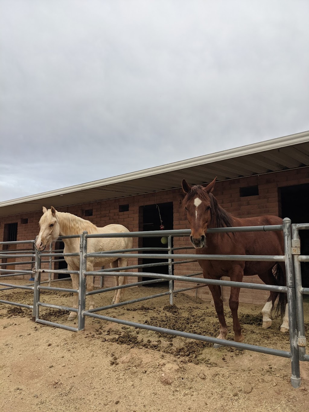 Rocking M Ranch | 6265 Happy Trail, Tucson, AZ 85743, USA | Phone: (520) 744-2457