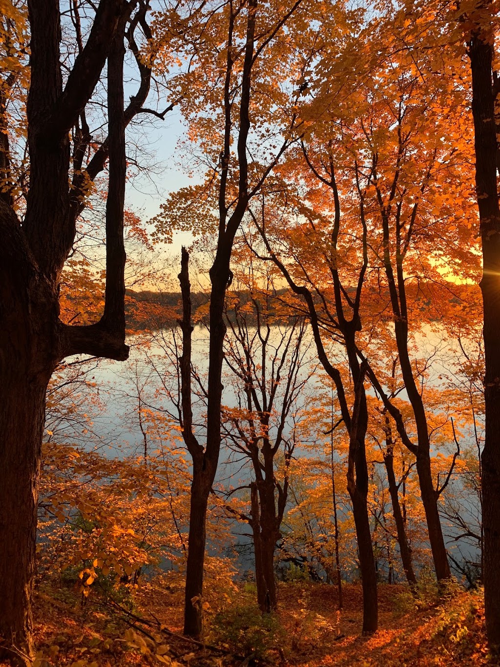 Lake Rebecca Park Reserve | 9831 Rebecca Park Trail, Rockford, MN 55373, USA | Phone: (763) 694-7860