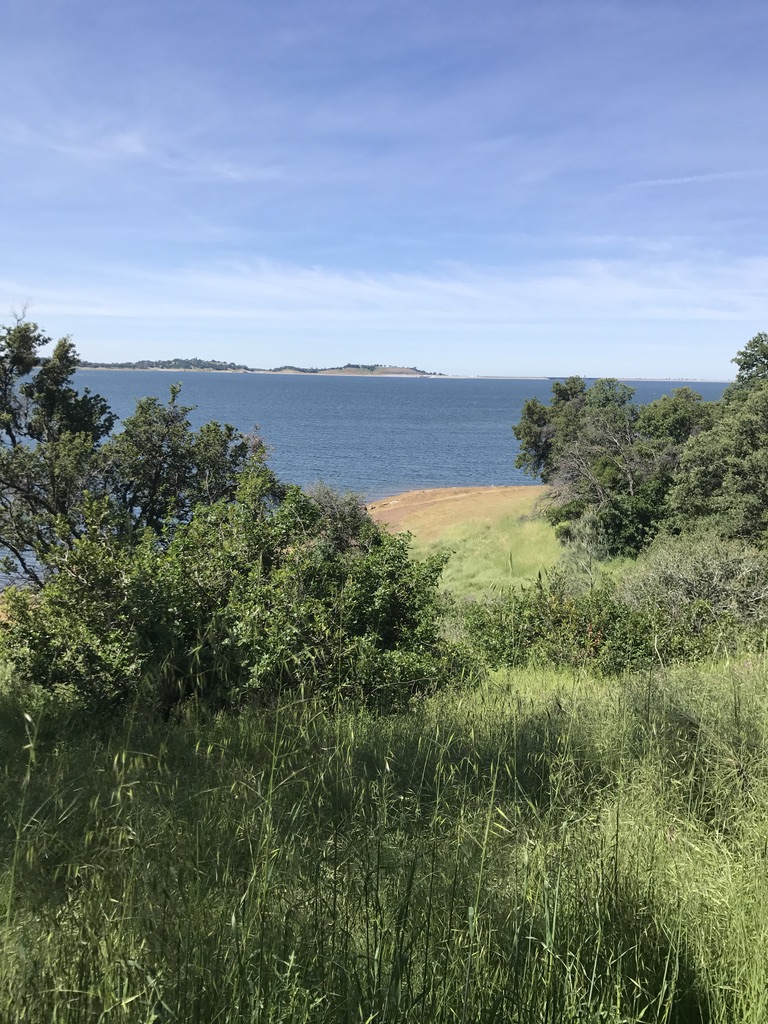 Trailhead to Browns Ravine | 1992 Vista Mar Dr, El Dorado Hills, CA 95762, USA | Phone: (800) 777-0369