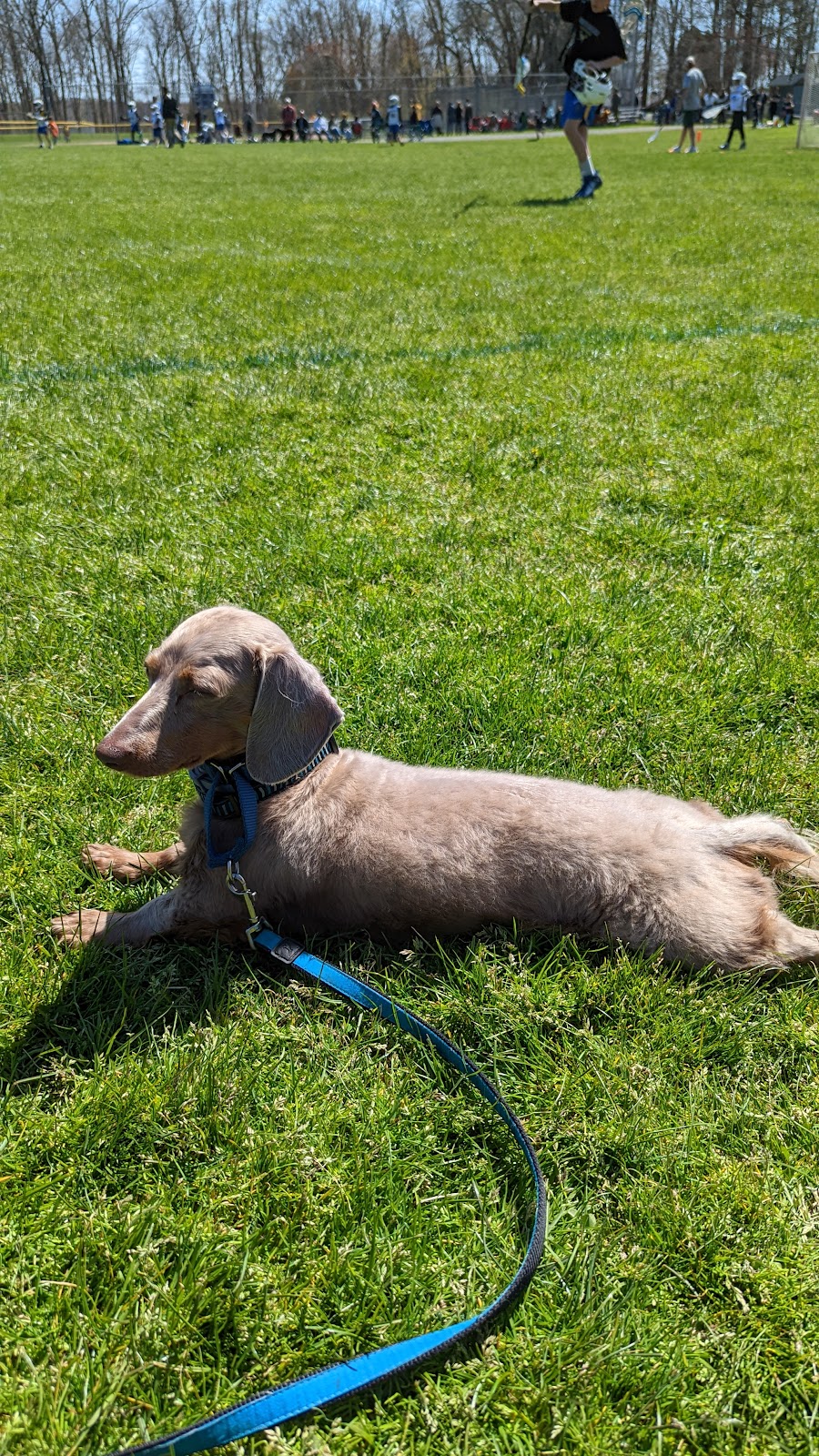 Joe Bohrdrum Park | 15 Sunset Dr, North Salem, NY 10560, USA | Phone: (914) 669-5665