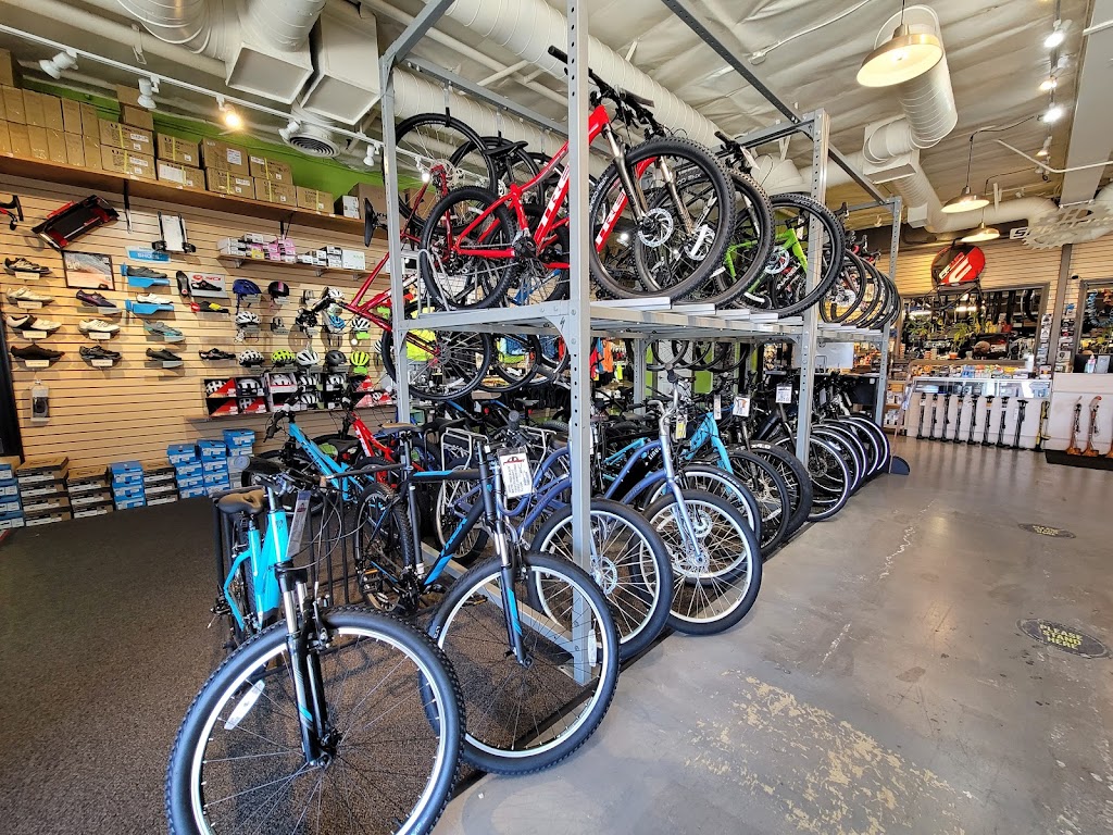 Sprocket Cycles | 1018 S Pacific Coast Hwy, Redondo Beach, CA 90277, USA | Phone: (310) 540-1927